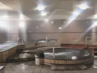 TENNEN ONSEN Tsurusaki Hotel - Hot Springs
