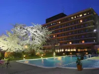 Kanazawa Kokusai Hotel - Pools