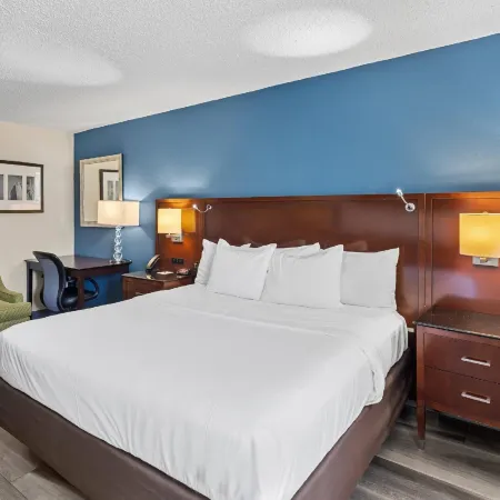 Quality Inn Sumter Hotels in Sumter County