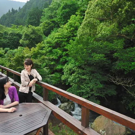Saga Ureshino Spa Shiibasanso