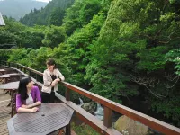 Saga Ureshino Spa Shiibasanso - Mountain view