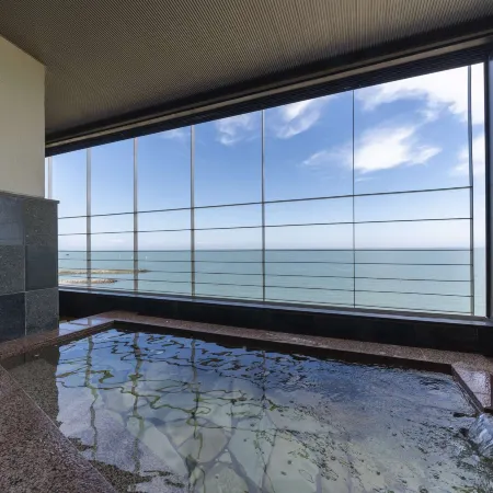 Somin-No-Yu Hotel Seikai