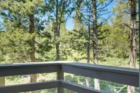 Kirkwood Group Mtn Escape! Trail & Lake Access - Homestays