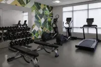 Hilton Garden Inn Jackson - Gym