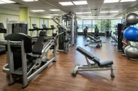 Newark Liberty International Airport Marriott - Gym