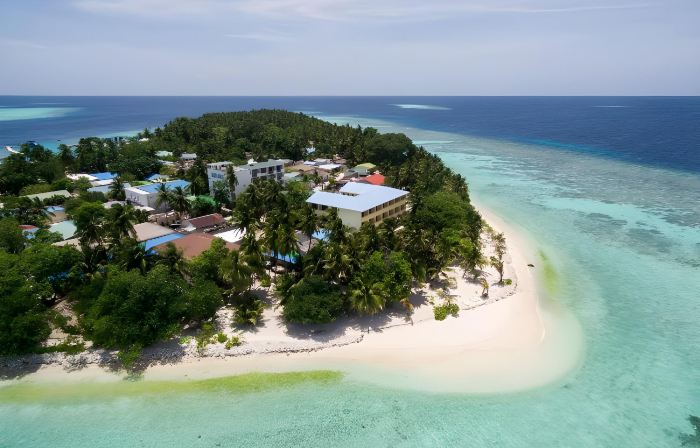 Plumeria Maldives