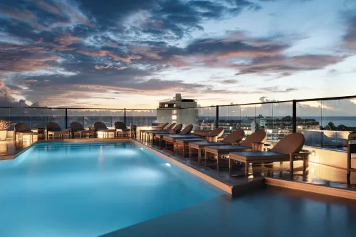 Nattivo Collection Hotel - bar