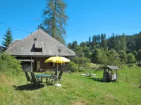 Bistenhof - Pet friendly