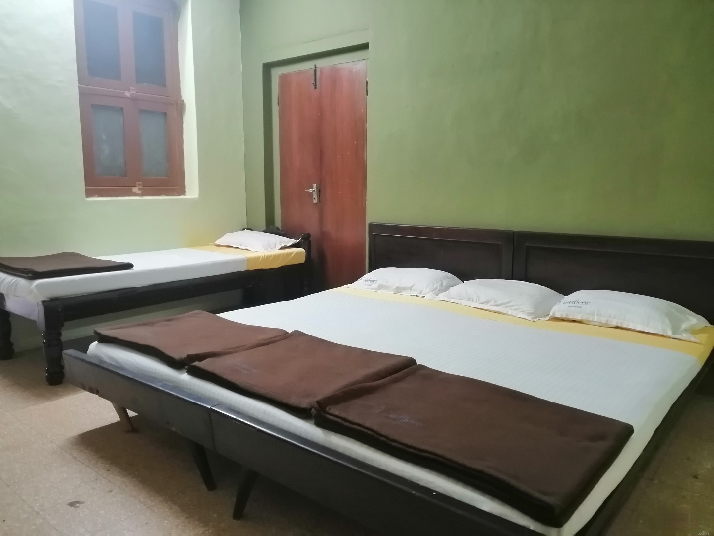 Other Wild Flower Photo