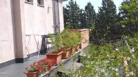 Etna Holiday Home. Studio Glicine