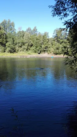 Wonderful Rustic Cabin, with Native Trees, with Rio Trancura, Equipped