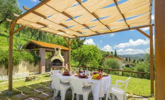 an outdoor dining area with a table set for a meal , surrounded by greenery and a gazebo at Agave