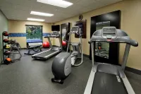 Hampton Inn & Suites Alexandria - Træningscentre