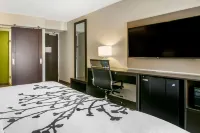 Sleep Inn Allentown-Fogelsville Hotels near Rite Aid