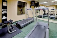 Holiday Inn & Suites RALEIGH-CARY (I-40 @WALNUT ST) by IHG - salle de sport