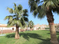 Flor de Ponoig