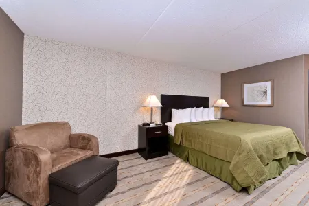 Quality Inn & Suites Matteson Near I-57