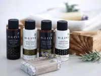 Hotel Rodovoli Hotels in Timfi