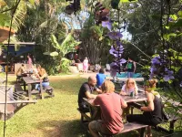 Costa Rica Backpackers Hotel di 