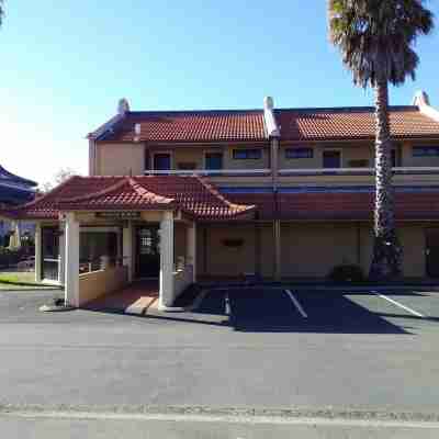 The Beachcomber Hotel Hotel Exterior