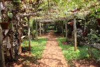 Jungle Book Resort Hotels in Sancordem VP