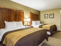 Quality Inn Hotels in Dover