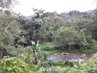 Hotel Agrowisata Hotels in Palopo