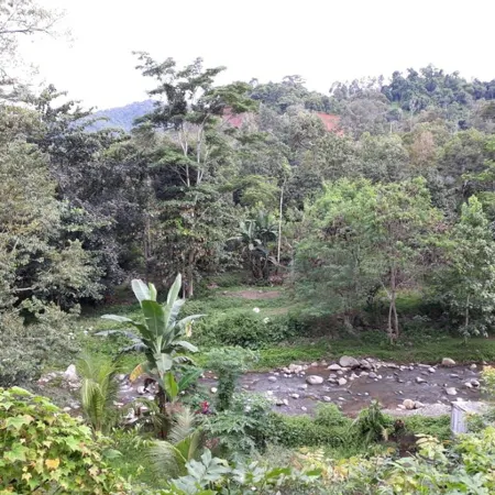Hotel Agrowisata