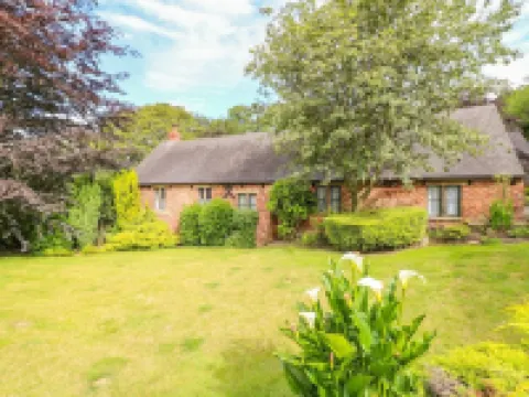 Woodland Lodge Hotels in 