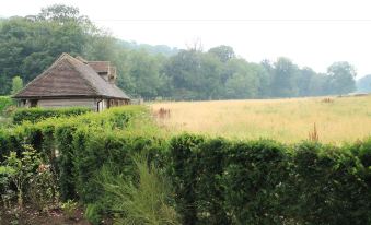 a grassy field with a wooden house in the distance , surrounded by trees and bushes at The White Horse