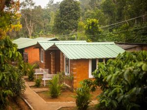 Yedamakky Plantations