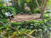 Belmont Guesthouse - Airport Shuttle