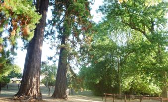 Les Tuileries du Buisson