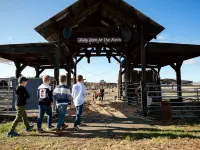 Hunter Valley Resort, Hunter Farm Adventure Centre & 4 Pines at The Farm Hotels in Pokolbin