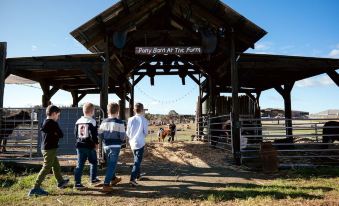 Hunter Valley Resort, Hunter Farm Adventure Centre & 4 Pines at The Farm