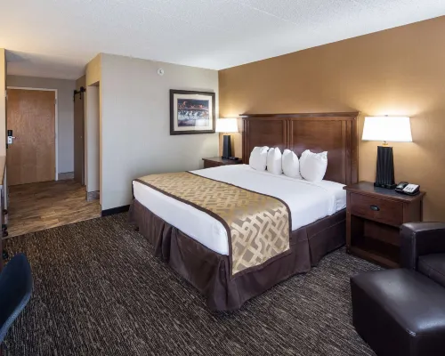 Best Western Ramkota Hotel Hotels in Pennington County