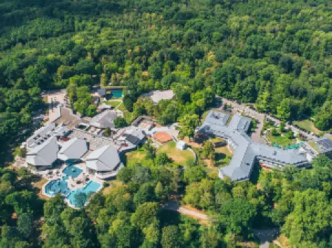 佛萊堡多林特溫泉飯店