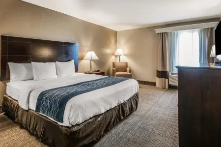 Comfort Inn & Suites DeLand - Near University Отели рядом с достопримечательностью «Мелчинг Филд эт Конрад Парк»