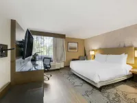 Aiden by Best Western @ Flagstaff Hotels in Flagstaff