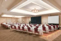 阿普爾頓紙谷希爾頓酒店