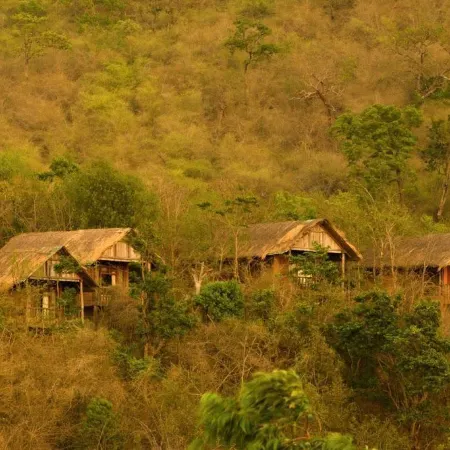 The River Tern Lodge - Junglelodges