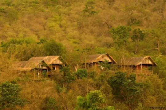 The River Tern Lodge - Junglelodges