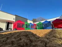 Gongju Forest Stay Pool Villa