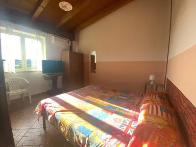 Michelangelo House, Bilo