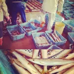 Amanohashidate Youth Hostel - sarapan