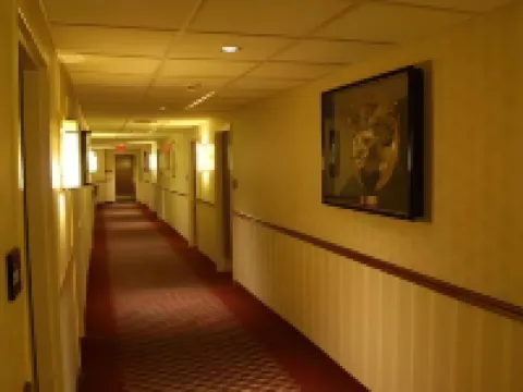 호라이즌 인 아브넬