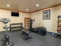 Best Western Windwood Inn  Suites Hotels in Freer
