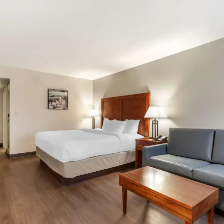 Comfort Inn Conference Center