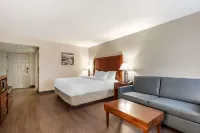 Comfort Inn Conference Center Hotels in Bowie