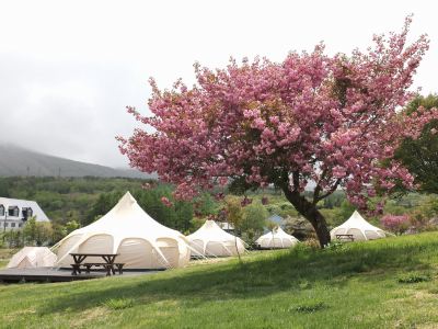 ホテル周辺 安比の森グランピングの写真